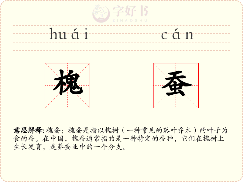 槐蚕