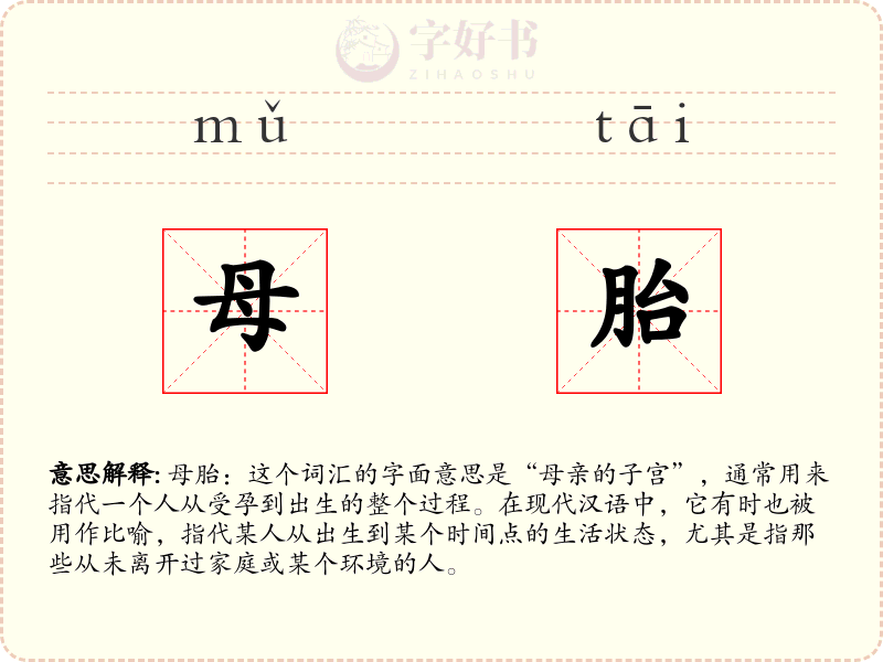 母胎