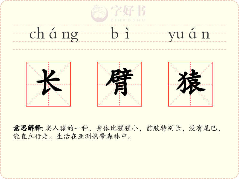 长臂猿