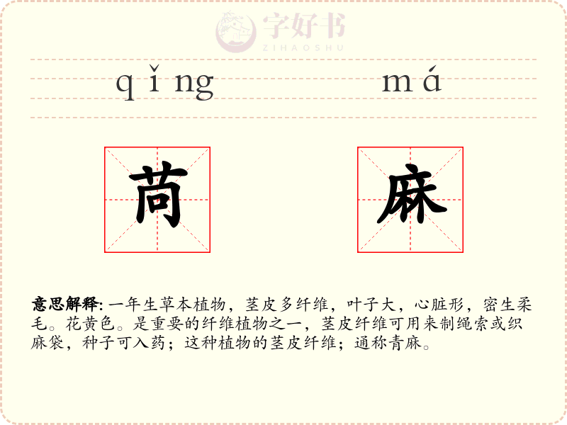 苘麻