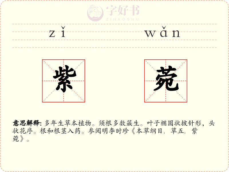 紫菀