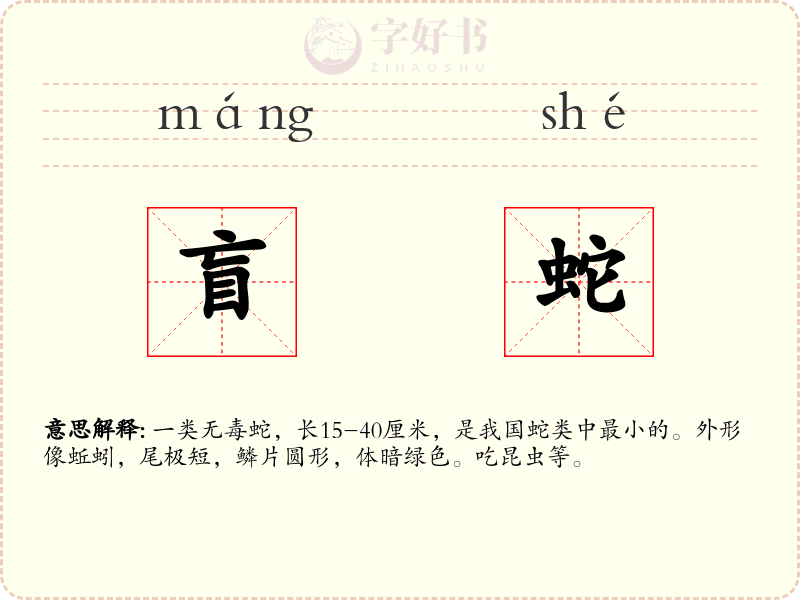 盲蛇
