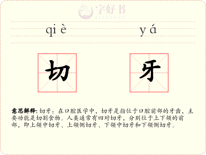 切牙