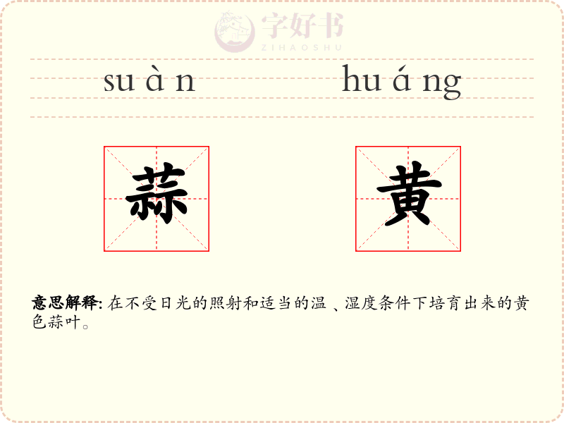 蒜黄