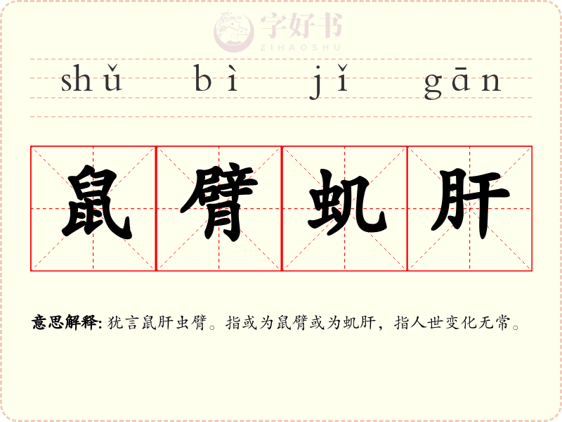 鼠臂虮肝