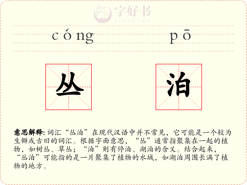 丛泊