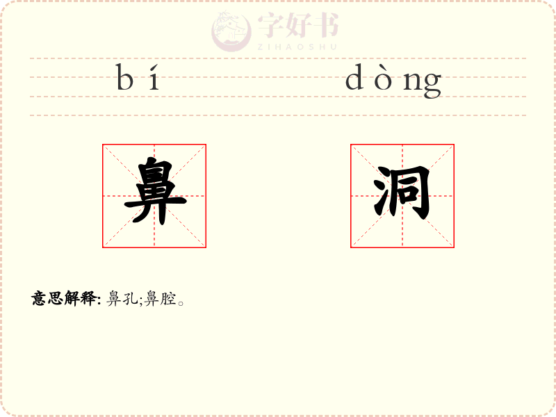 鼻洞