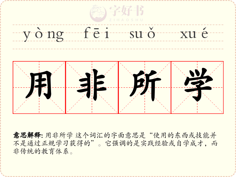 用非所学