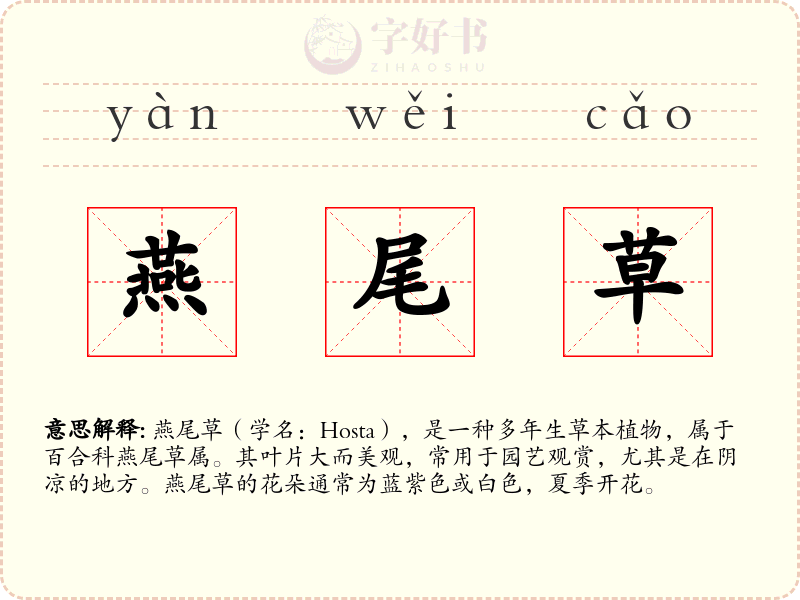 燕尾草