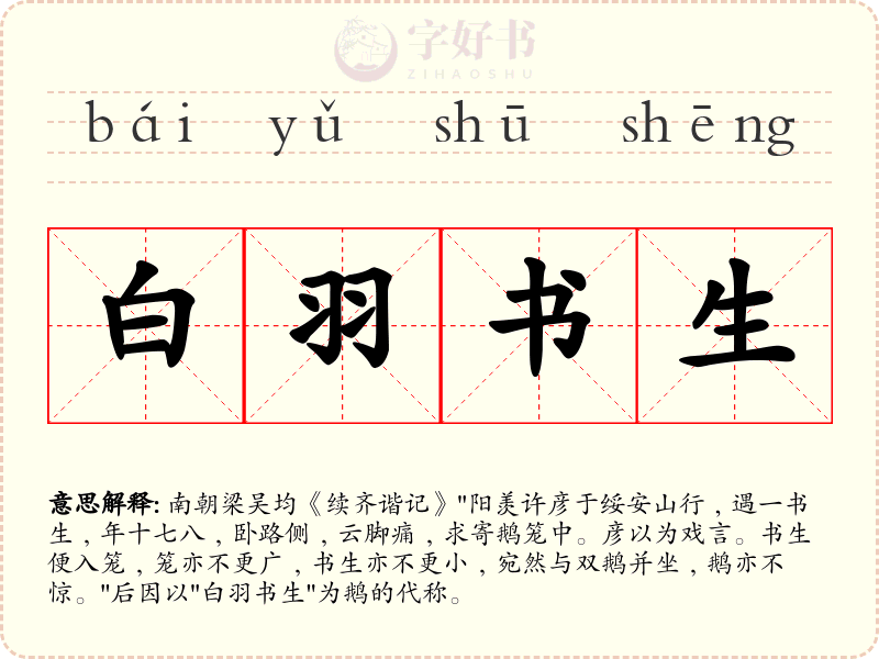 白羽书生