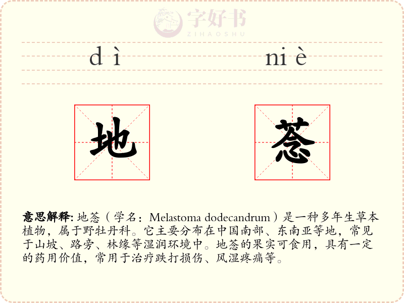 地菍