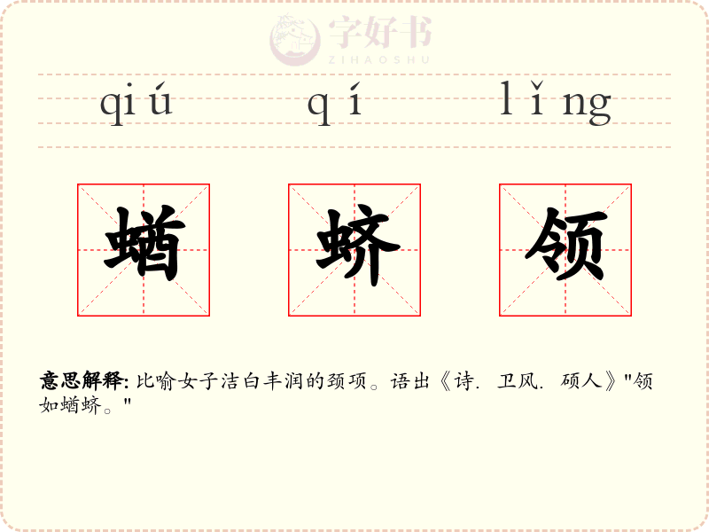 蝤蛴领