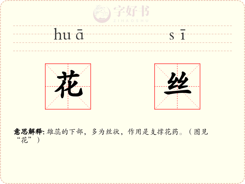 花丝
