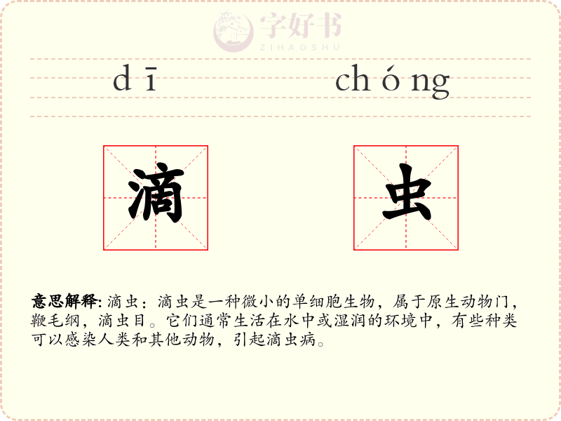 滴虫