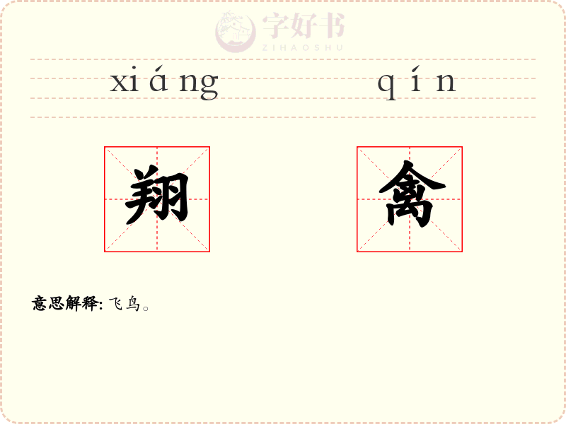 翔禽