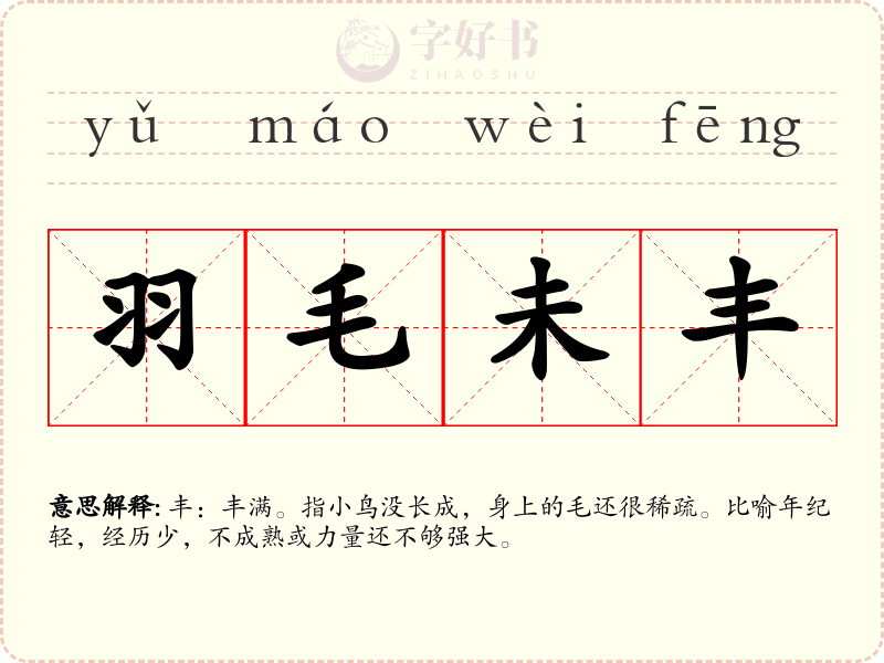 羽毛未丰
