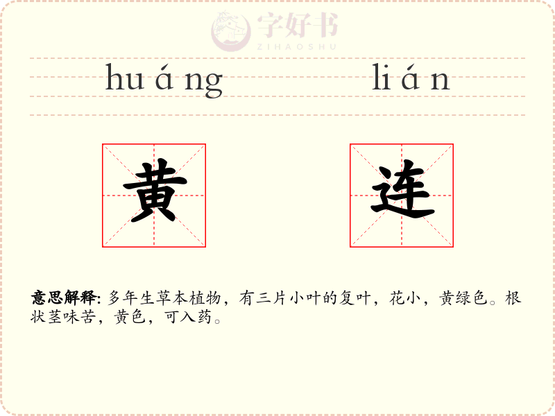 黄连