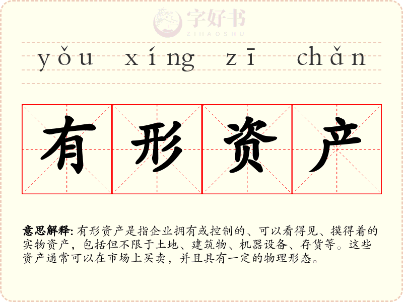 有形资产
