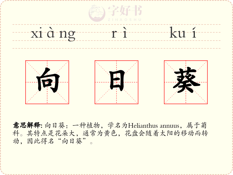 向日葵