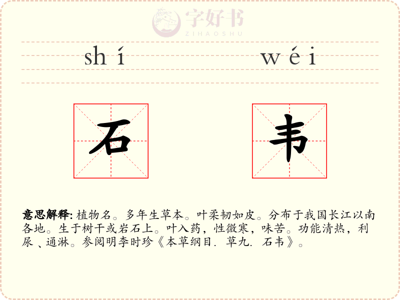 石韦