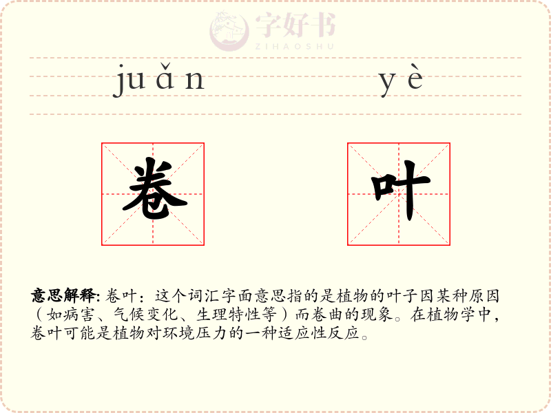 卷叶