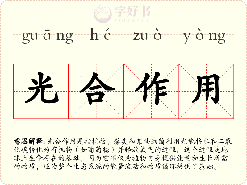 光合作用