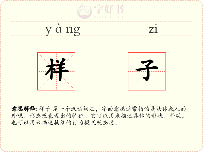 样子