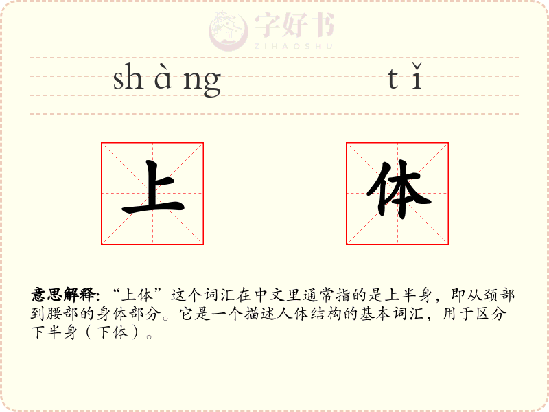 上体