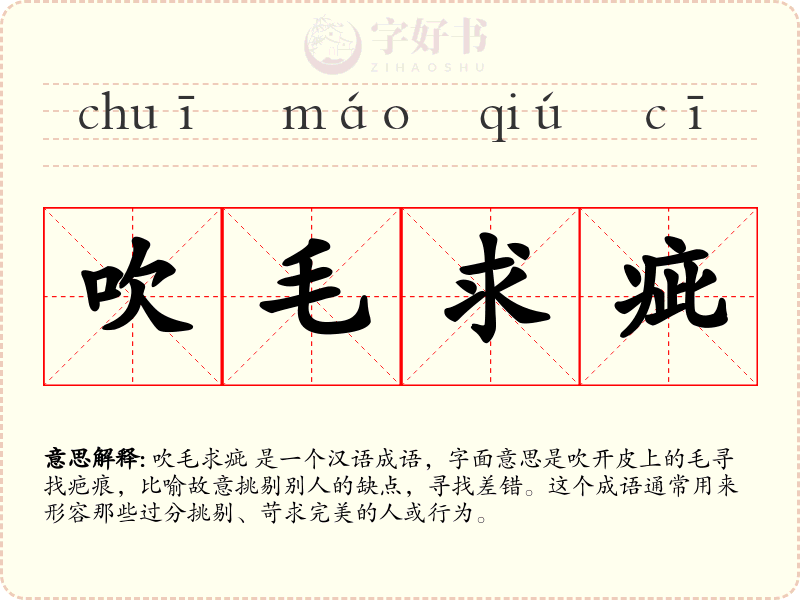 吹毛求疵