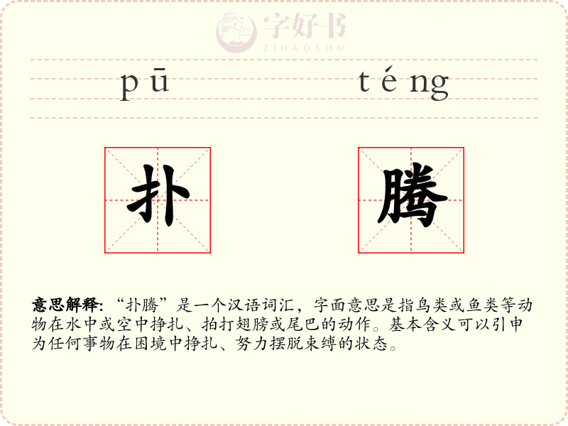 扑腾