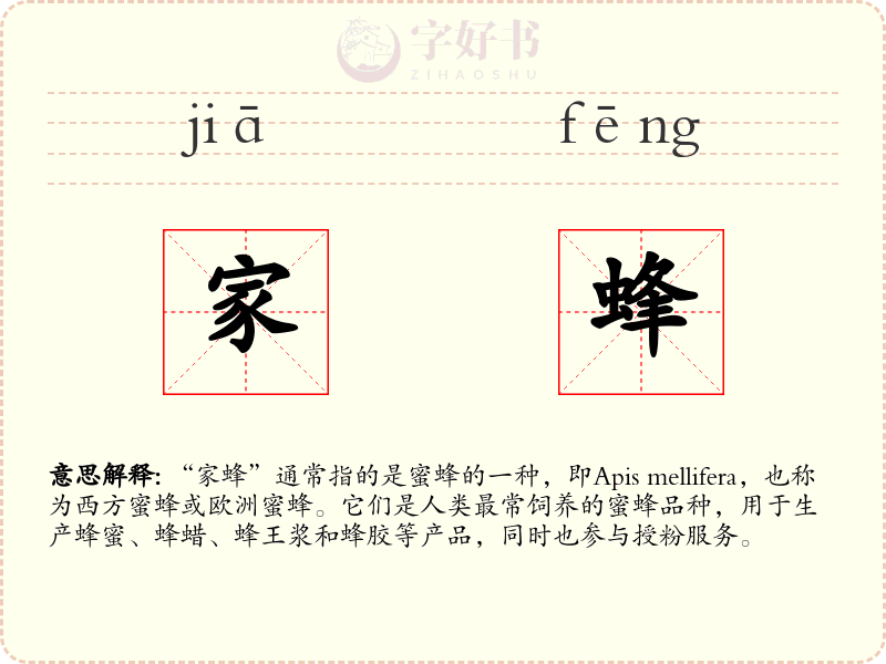 家蜂