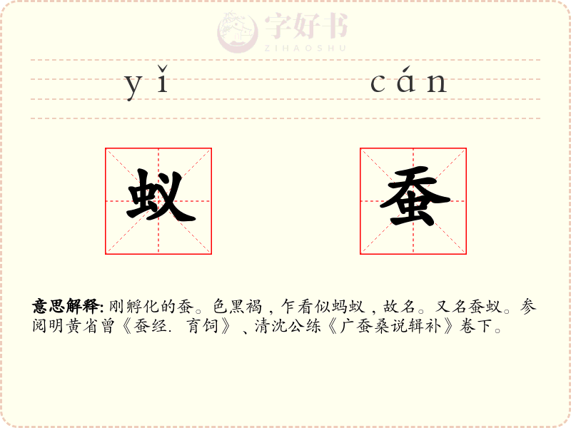 蚁蚕