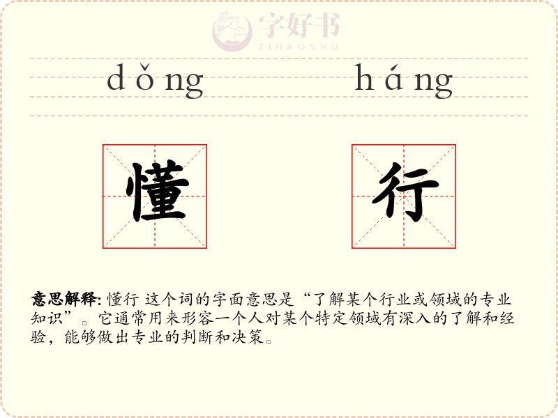 懂行