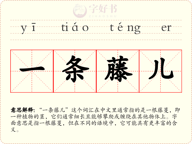 一条藤儿