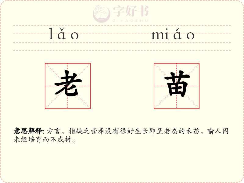 老苗