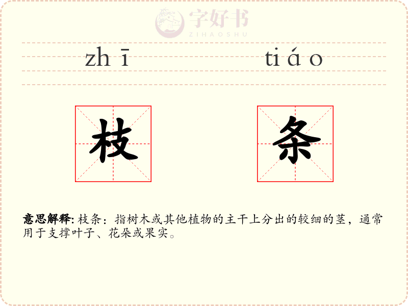 枝条