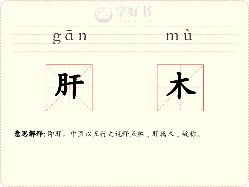 肝木