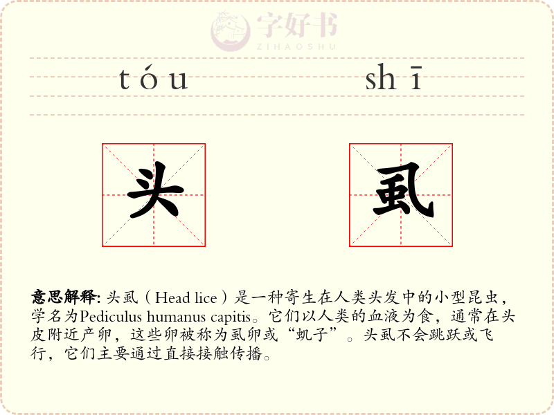头虱