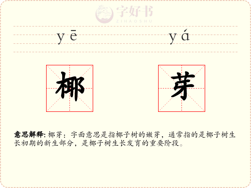 椰芽