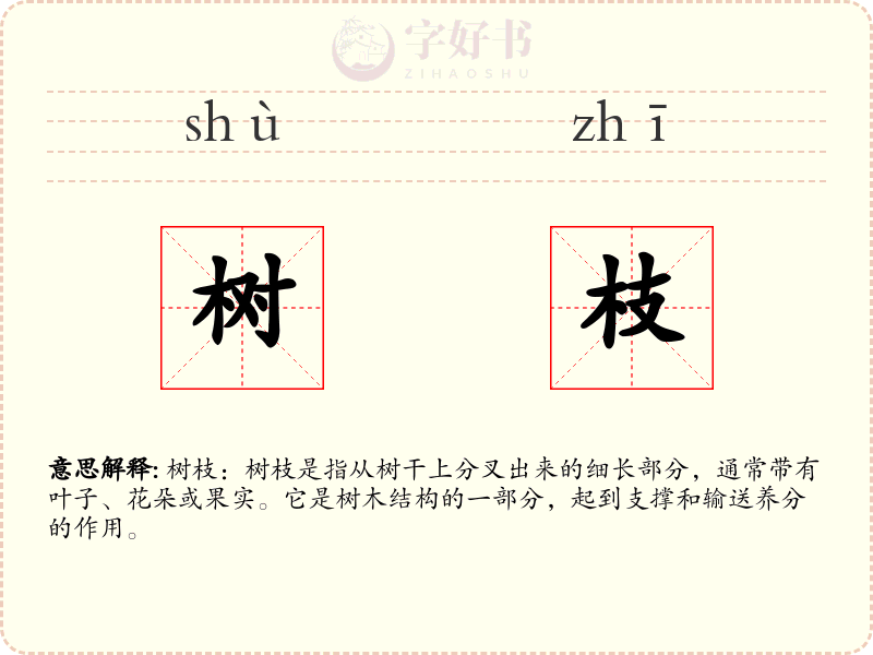 树枝