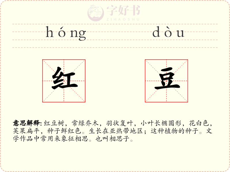 红豆