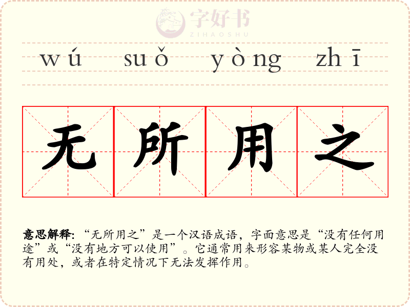 无所用之