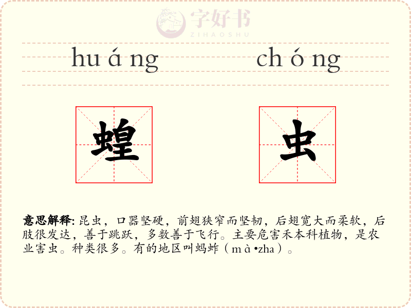 蝗虫