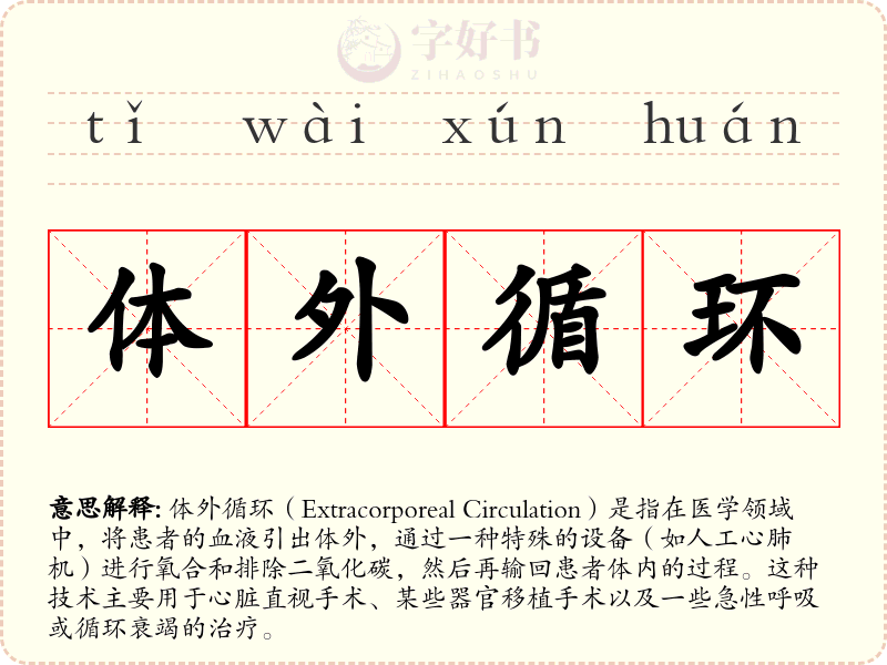体外循环