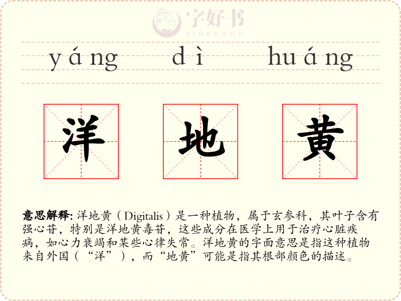 洋地黄