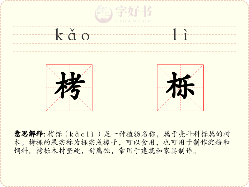 栲栎