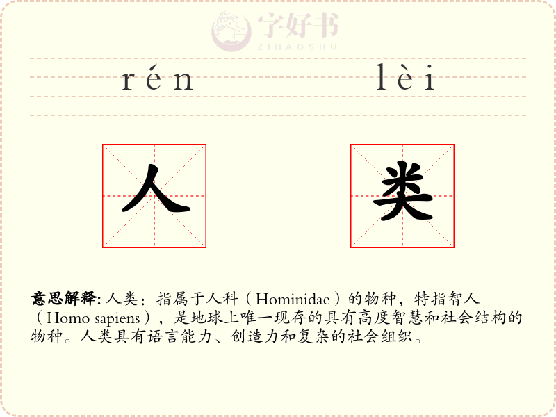 人类
