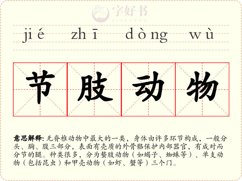 节肢动物