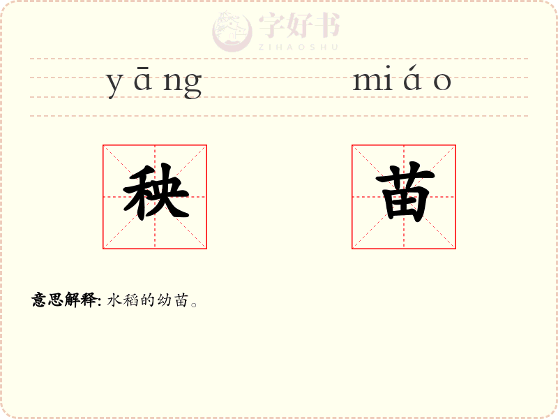 秧苗