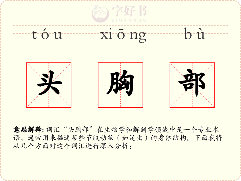 头胸部